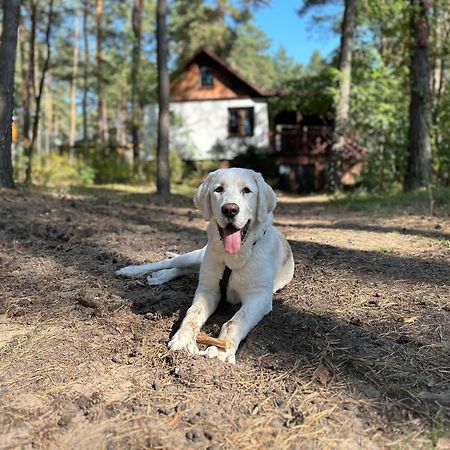 Masuria Warsaw Villa Skrzeszew Ngoại thất bức ảnh