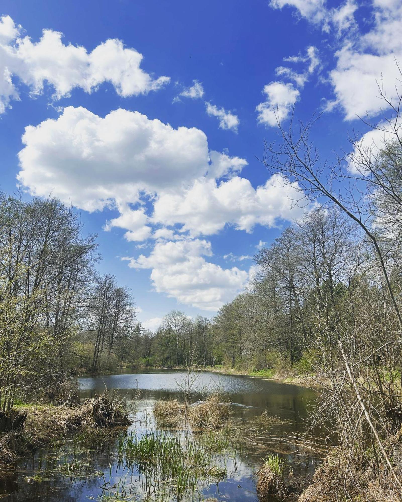 Masuria Warsaw Villa Skrzeszew Ngoại thất bức ảnh