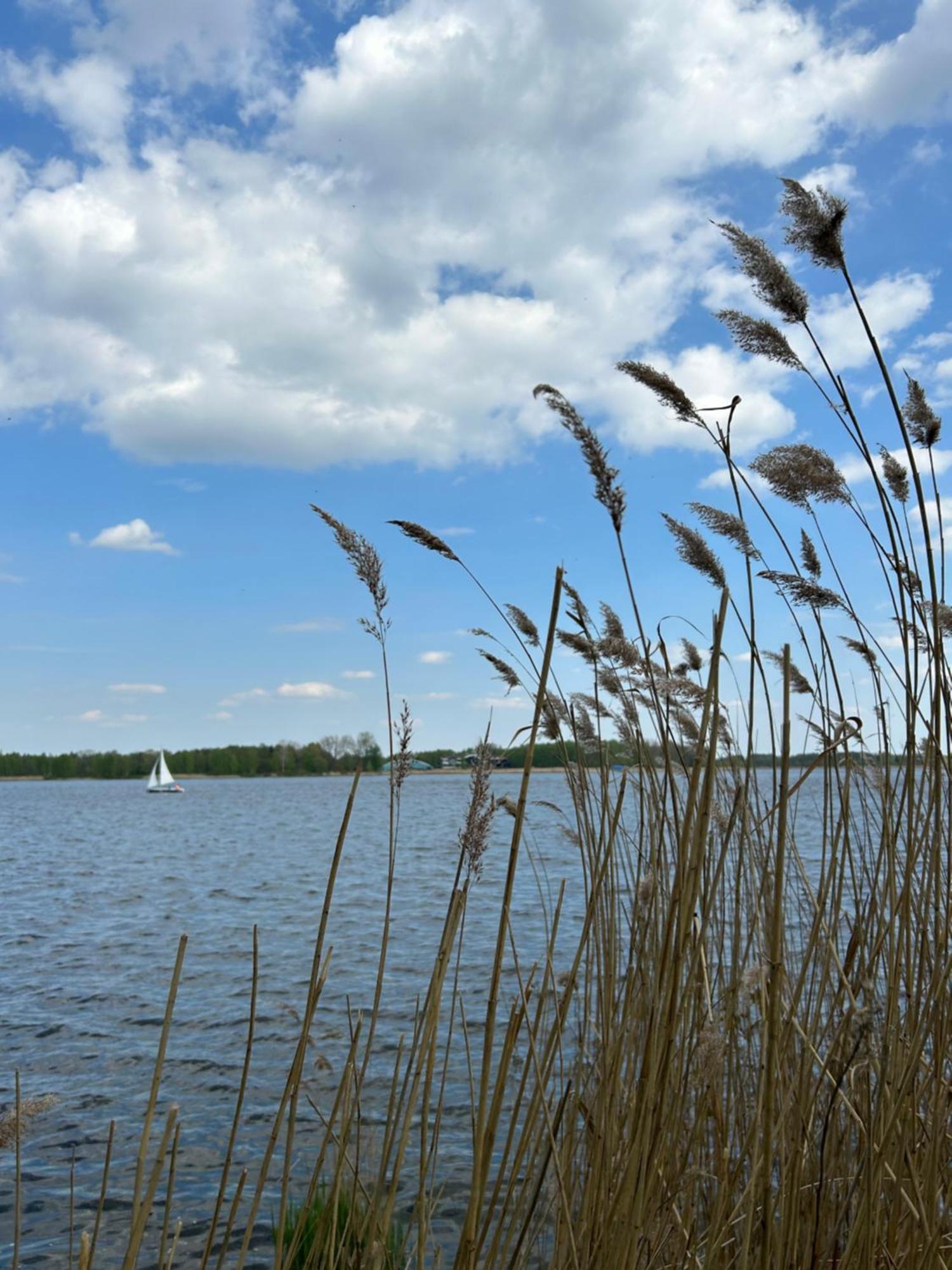 Masuria Warsaw Villa Skrzeszew Ngoại thất bức ảnh